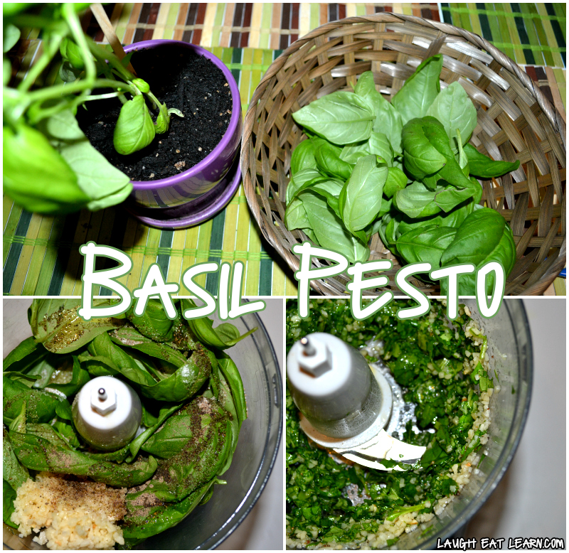 This homemade basil pesto recipe is perfect for any recipe you want to use it for. It's made without nuts, and can be freezed or stored in the fridge for up to two weeks. The sauce is tasty and flavorful and so easy to make!