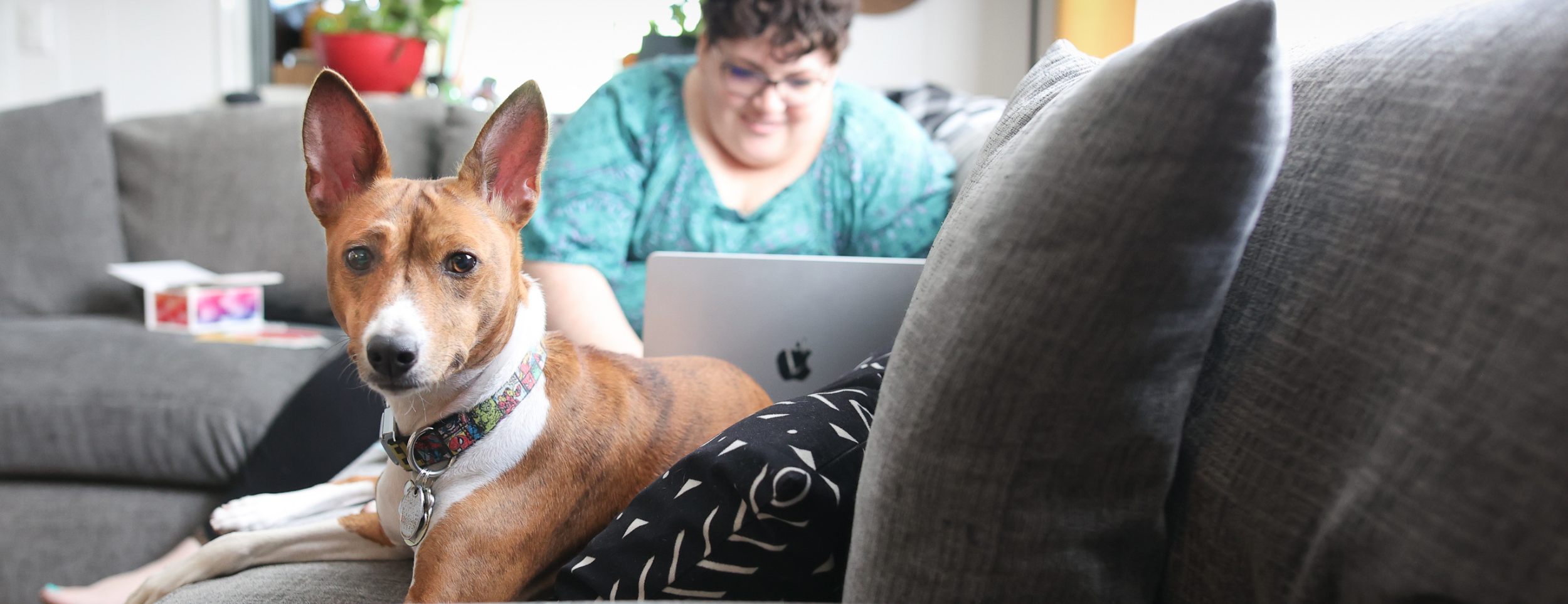 Image of Alexis and her dog on the sofa as Alexis does some wordpress maintenance