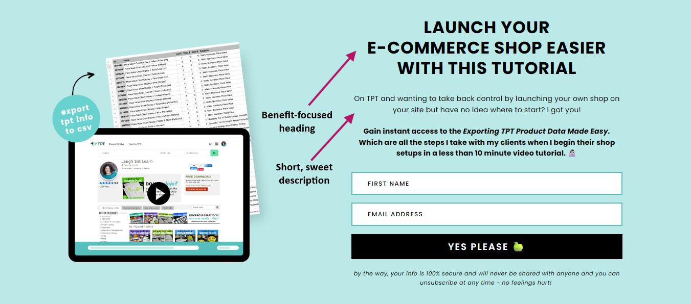 opt-in page example with a headline and description