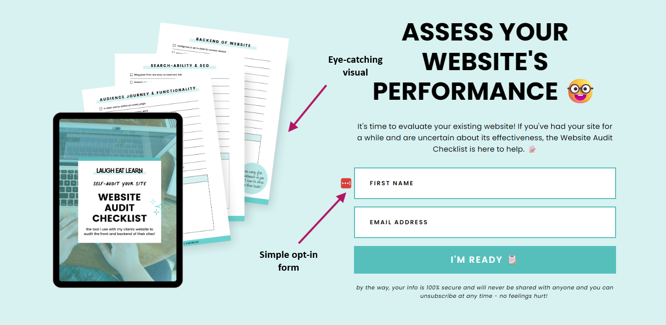 Example of a opt-in page with a visual